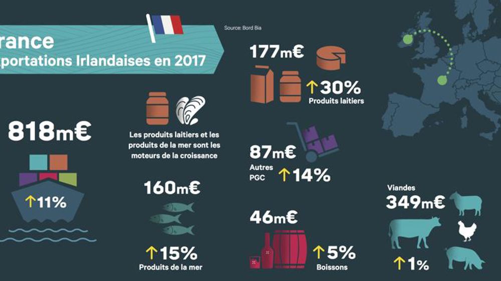 Les exportations irlandaises ont augmenté de 13 % en 2017