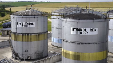 Des enzymes qui dégradent la lignocellulose Des enzymes qui dégradent la lignocellulose