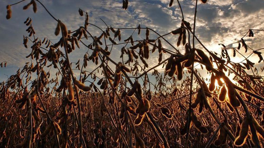 L’UE ouvre une enquête sur les subventions en Argentine