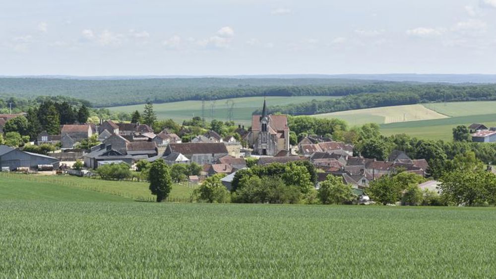 Une mission pour développer le travail collaboratif