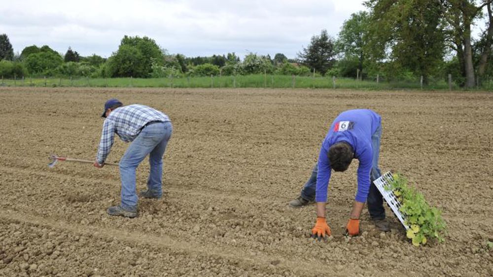 La CFDT regrette le manque de dimension sociale