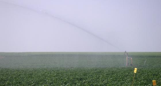 La prédominance des conditions anticycloniques devraient aggraver la sécheresse