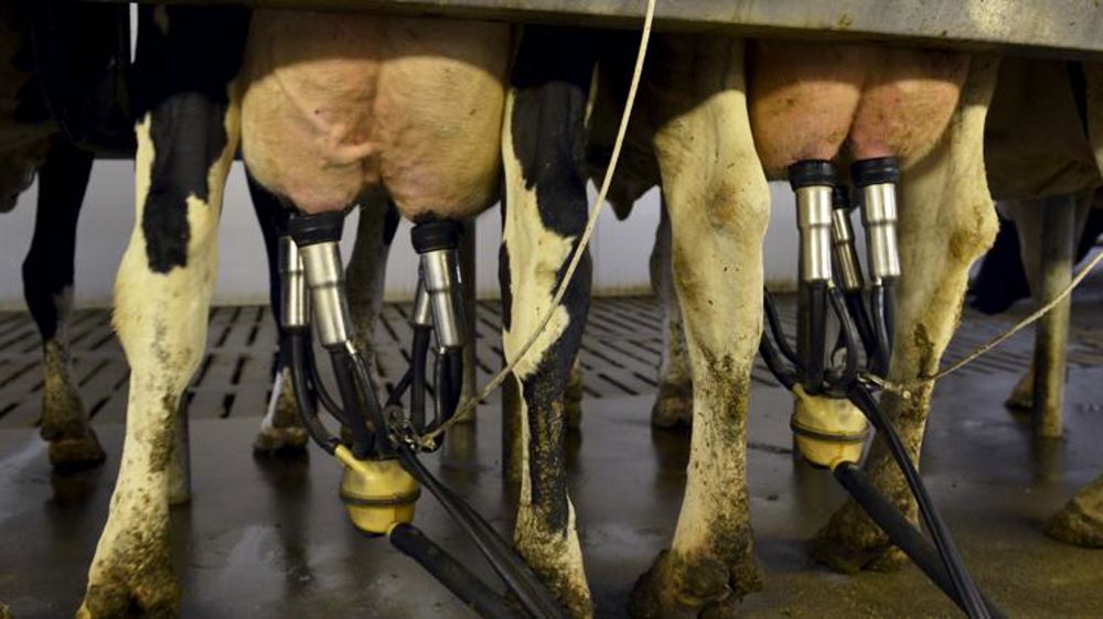 Une collecte toujours dynamique