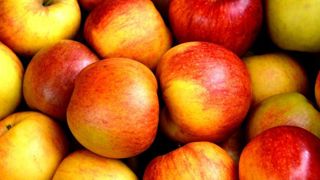 Forts enjeux pour les fruits et légumes Forts enjeux pour les fruits et légumes