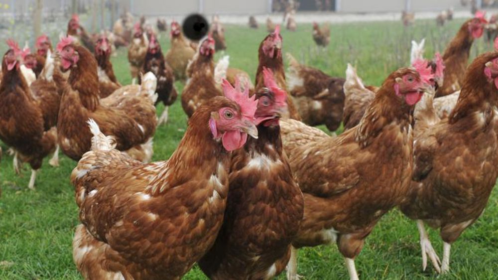 Précisions sur l’indemnisation des pertes de non-production