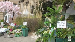 Du 29 au 31 mars, les Journées des collections se dérouleront au parc Chanot, rond-point du Prado, à Marseille (13). ©P. Fayolle