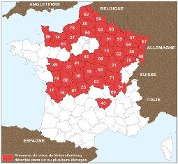 carte virus Sbv