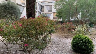 Les professionnels du paysage ne peuvent plus, à partir du 1er juillet 2022, utiliser des produits chimiques de synthèse pour l’entretien des jardins des particuliers ou des lieux à usage collectif fréquentés par le public. © O. Maillard Les professionnels du paysage ne peuvent plus, à partir du 1er juillet 2022, utiliser des produits chimiques de synthèse pour l’entretien des jardins des particuliers ou des lieux à usage collectif fréquentés par le public. © O. Maillard