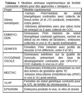 expérimentation fertilité femelle
