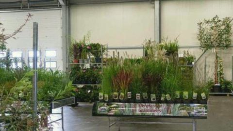 Du 19 au 26 janvier 2021, une avant-première numérique est prévue pour remplacer l’impossible édition de printemps pour le salon GrrotGreon+ aux Pays-Bas. © GGP