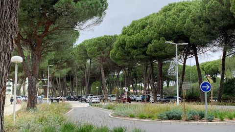 « Près de la moitié (47 %) des jeunes actifs de 18 à 34 ans déclarent être attirés par les métiers liés à la création et à l’entretien des jardins, des parcs et des zones naturelles », selon un sondage Unep de janvier 2021. ©O. Maillard