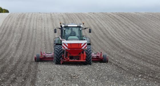 23,6 % des agriculteurs interrogés vont ressemer une partie de leurs cultures d'hiver