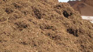 Comme de nombreux autres produits, les substrats et engrais devraient voir leurs prix augmenter dans les semaines qui viennent. ©P. Fayolle