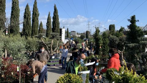 Si les ventes de végétaux d’intérieur ont connu une baisse en 2020, ce n’et pas le cas des végétaux d’extérieur, qui ont bien compensé sur l’année la fermeture des magasins lors du premier confinement, explique Kantar, grâce à son panel rassemblant 7 000 foyers consommateurs. ©François Arnould