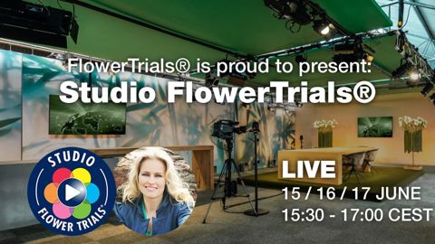 Les FlowerTrials 2021 se dérouleront en direct d’un studio pour des alternatives numériques aux essais sur sites annulés à nouveau cette année. ©Fleuroselect