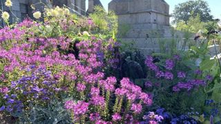 Le CNVVF a fait le point récemment sur l’ensemble de son actualité, alors que les tournées de jury nationales viennent de débuter. ©P. Fayolle