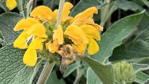Le concours «  Capitale française de la biodiversité » 2022 est lancé, les candidatures peuvent être déposées jusqu’au 31 janvier prochain. ©P. Fayolle