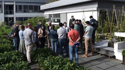 Le Démonstrateur d’agriculture urbaine est installé sur le toit-terrasse de la chambre d’agriculture des Pays de la Loire. Une cinquantaine de légumes y sont cultivés. ©A. Mabire