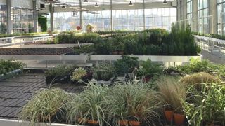 La gestion du climat sera au cœur des débats jeudi 30 septembre au BHR, tant autour du (dé)blanchiment des serres que de la conduite à tenir avec les dérèglements ou changements climatiques. ©O. Maillard 