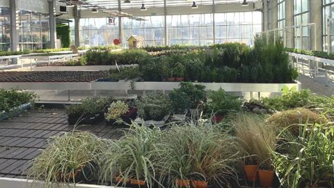 La gestion du climat sera au cœur des débats jeudi 30 septembre au BHR, tant autour du (dé)blanchiment des serres que de la conduite à tenir avec les dérèglements ou changements climatiques. ©O. Maillard 