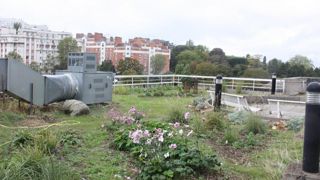 Végétalisation des terrasses de l’hôpital Robert-Debré, dans le 19e arrondissement de Paris. © L. Hespel