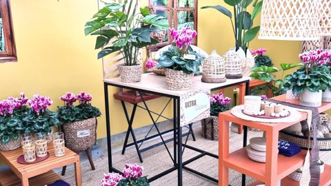 Parmi les tendances présentées par l’entreprise Cyclamen Morel lors de ses portes ouvertes, Ultra nature fait appel à des matières et des couleurs naturelles. ©Morel