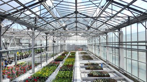 Des expérimentations sur la lumière diffuse sous abri ont été menées à la station du Ratho. ©Astredhor