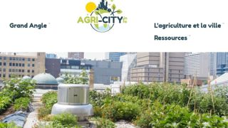 Agri-city.info aborde la multitude des aspects de l’agriculture urbaine, depuis l’actualité jusqu’à l’avis d’experts, en passant par la formation, des témoignages… ©Agri-city.info 