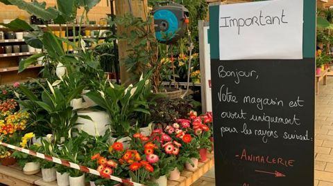 Quelques jardineries restent ouvertes, notamment pour la vente des produits destinés à l’alimentation animale, mais les rayons des plantes ornementales sont innaccesibles, comme ici à Botanic.© François Arnould