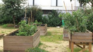 Les jardineries ayant leurs rayons animalerie et alimentation générale déjà ouverts peuvent vendre les plants potagers. © François Arnould Les jardineries ayant leurs rayons animalerie et alimentation générale déjà ouverts peuvent vendre les plants potagers. © François Arnould