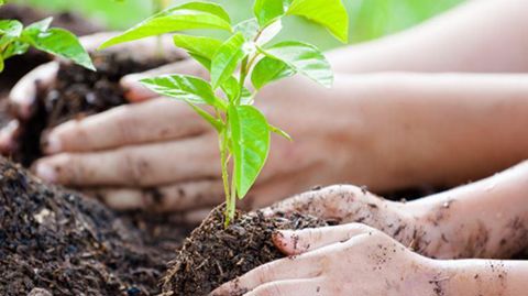 Salariés ou retraités ressortissant du groupe Agrica peuvent prétendre à une aide pour faire face aux difficultés qu’ils rencontrent durant le confinement. ©Agrica