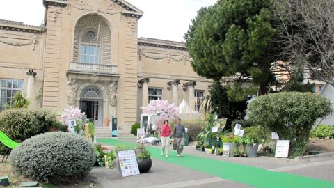 Les Journées de collections Garden Trends, qui devaient se tenir en mai à Marseille, n’auront pas lieu, mais une plateforme d’échanges professionnels « JdC Connect » est lancée pour combler le vide laissé. ©Pascal Fayolle