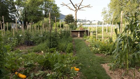 Cette oeuvre, présentée et pérennisée en 2018, met en lumière la question de l’agriculture en ville. ©Marc Domage