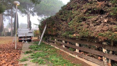 En horticulture-pépinière, on recherche de la main-d’œuvre, et en particulier des permanents. Or près de la moitié des recrutements se font via un CDD. ©O. Maillard
