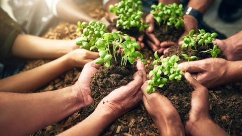 Partager entre acteurs de la filière à l’occasion du Salon du Végétal. ©gettyimages