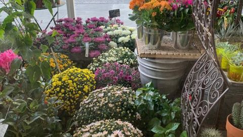 Les fleuristes ont déposé un référé devant le conseil d’Etat pour pouvoir ouvrir leurs magasins au même titre que les jardineries et la grande distribution. ©O. Maillard