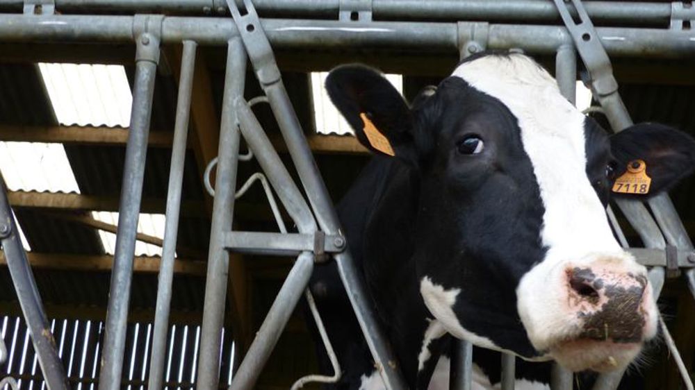 Rappel de tous les lots de Velactis®