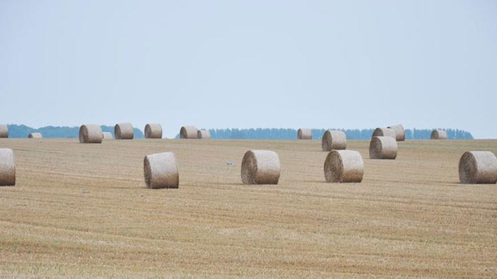 Déficit de pluie en juillet