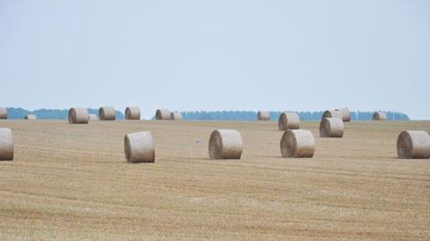 Déficit de pluie en juillet Déficit de pluie en juillet