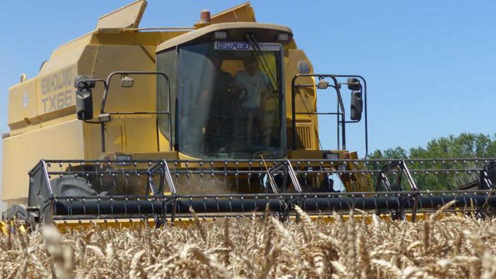 Les récoltes en Mer noire et aux États-Unis empêchent les prix de décoller (Tall