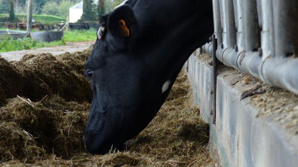 Le prix des intrants recule en août