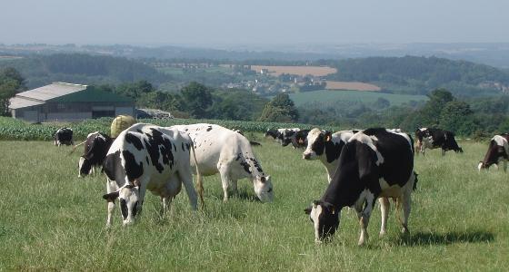 Selon les Echos, les locaux de 8 entreprises dont Senoble, Novandie, Lactalis, 3A, les Maîtres Laitiers du Cotentin et Alsace Lait ont été perquisitionnés par des agents de l'Autorité de la Concurrence.