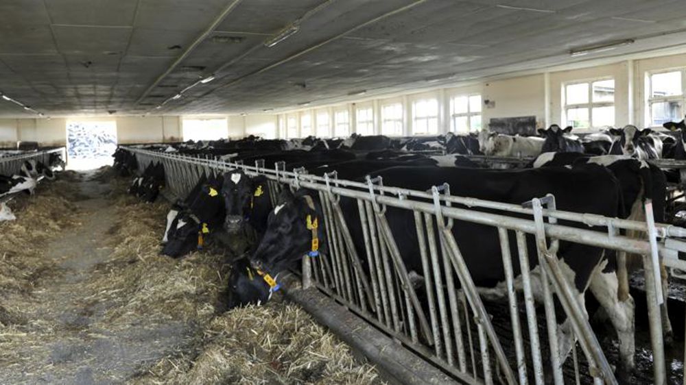 L’EMB estime le coût de production du lait à 45 centimes/kg