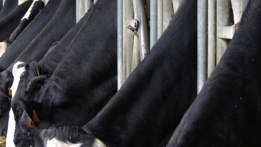 Mieux nourrir les animaux pour mieux nourrir les hommes