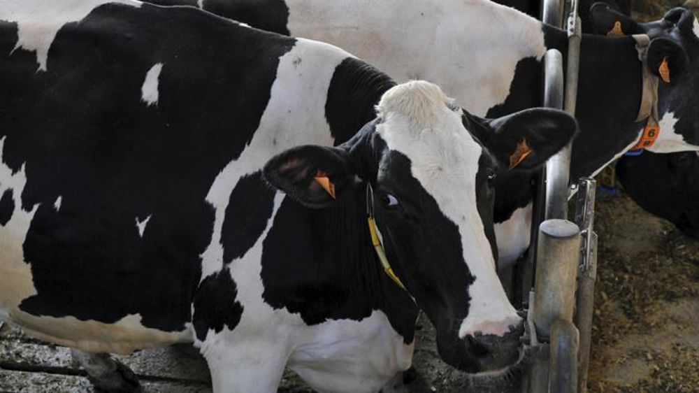 Le recul de la collecte se confirme 