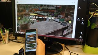 L’application Floriscope, créée par Plante & Cité permet de connaître, choisir et trouver des plantes pour les jardins et les espaces verts. ©Odile Maillard