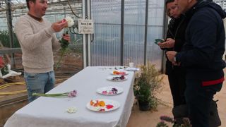 Pour l’apéro… mais pas que ! Sauges diverses, agastaches, capucines, dahlias, bégonias, tagetes… le Scradh a acquis de bonnes références sur les fleurs comestibles, bien sûr cultivées en zéro phyto. Il cherche à diversifier les usages pour rendre les productions plus rentables. ©Odile Maillard