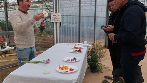 Pour l’apéro… mais pas que ! Sauges diverses, agastaches, capucines, dahlias, bégonias, tagetes… le Scradh a acquis de bonnes références sur les fleurs comestibles, bien sûr cultivées en zéro phyto. Il cherche à diversifier les usages pour rendre les productions plus rentables. ©Odile Maillard