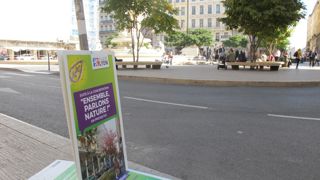 Place des Jacobins, à Lyon.© Pascal Fayolle