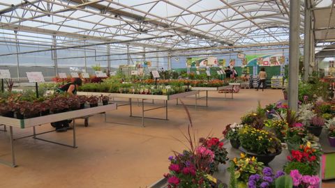 La TaSCom concerne aussi les surfaces de vente de produits hors exploitation horticole, achetés et revendus en l’état directement au consommateur final… si le CA annuel en vente directe est supérieur à 460 000 € HT. ©Odile Maillard